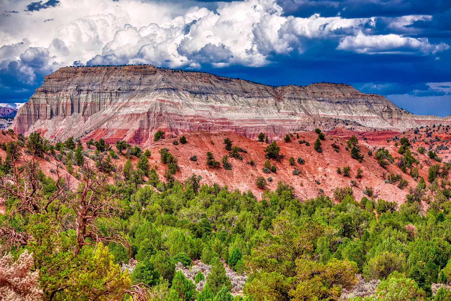 Escalante Grand Staircase | Utah 
