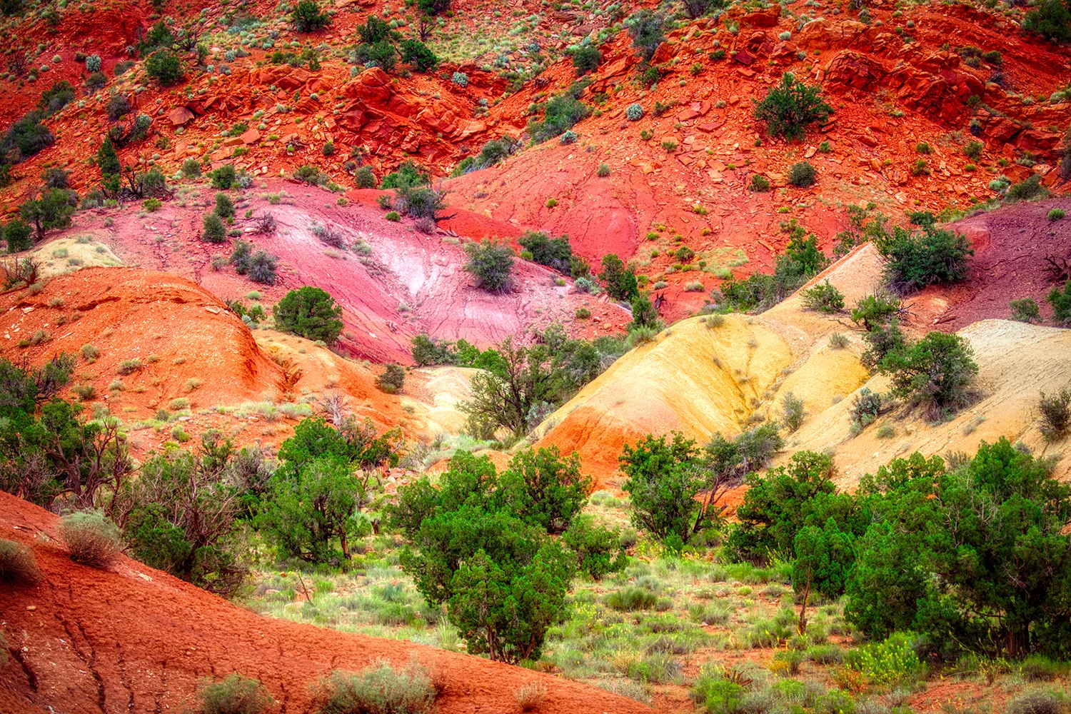 Escalante Grand Staircase | Utah 