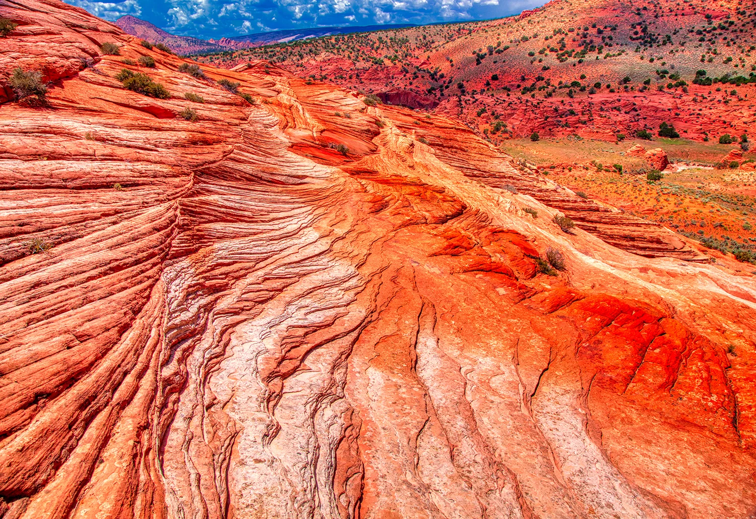 Paria Canyon | Arizona