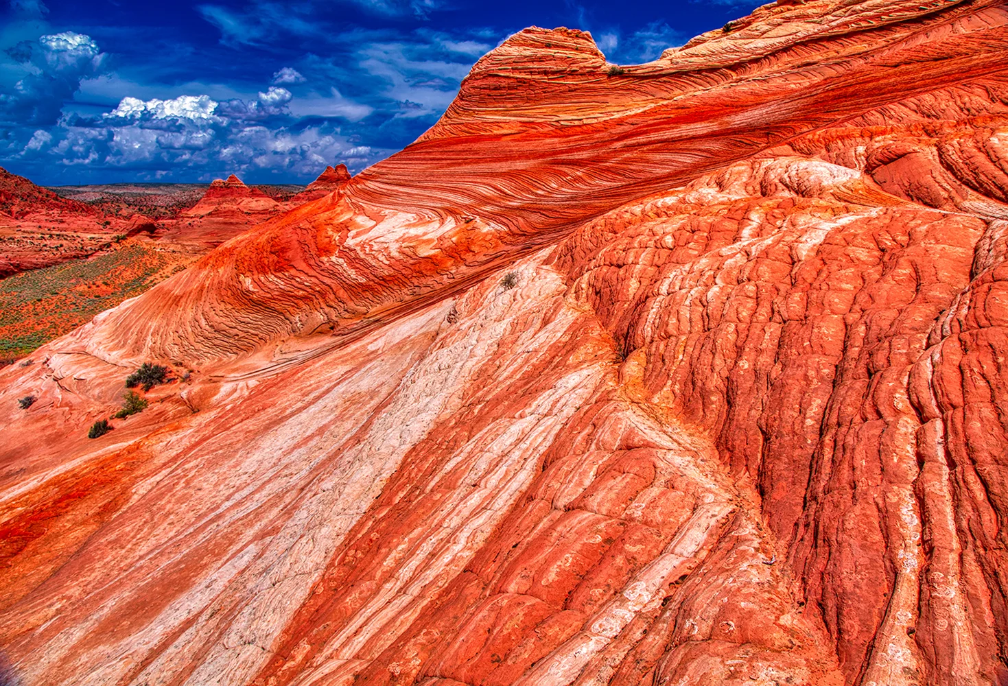 Paria Canyon | Arizona