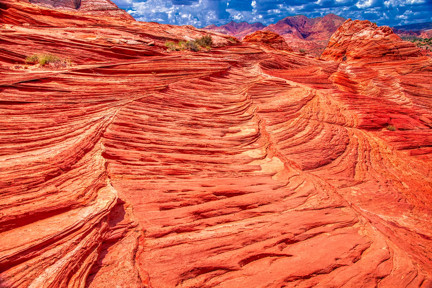 Paria Canyon | Arizona