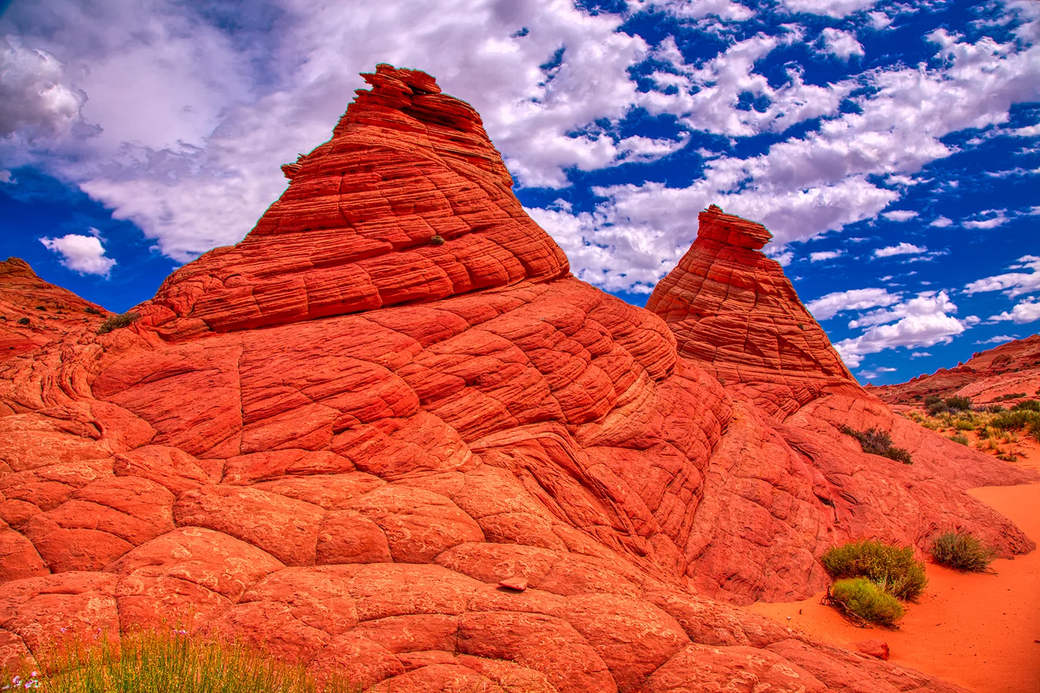 Paria Canyon | Arizona