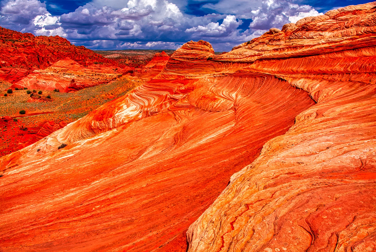 Paria Canyon | Arizona