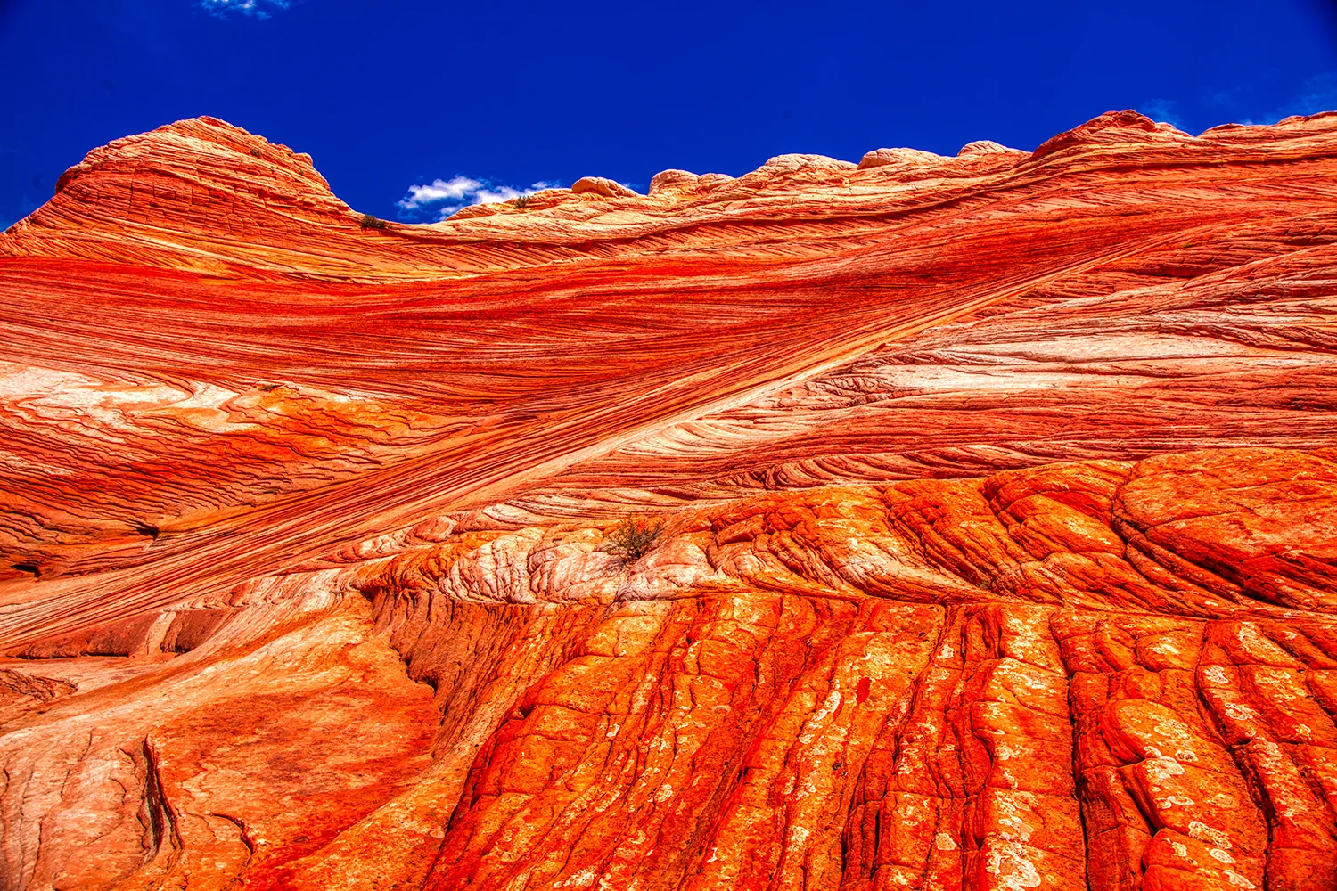 Paria Canyon | Arizona