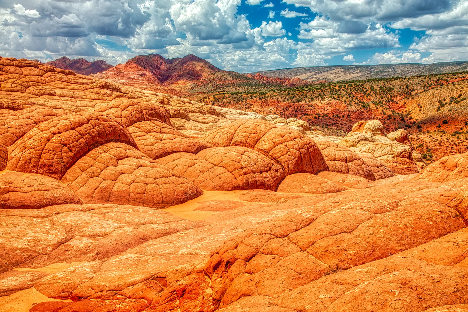 Paria Canyon | Arizona