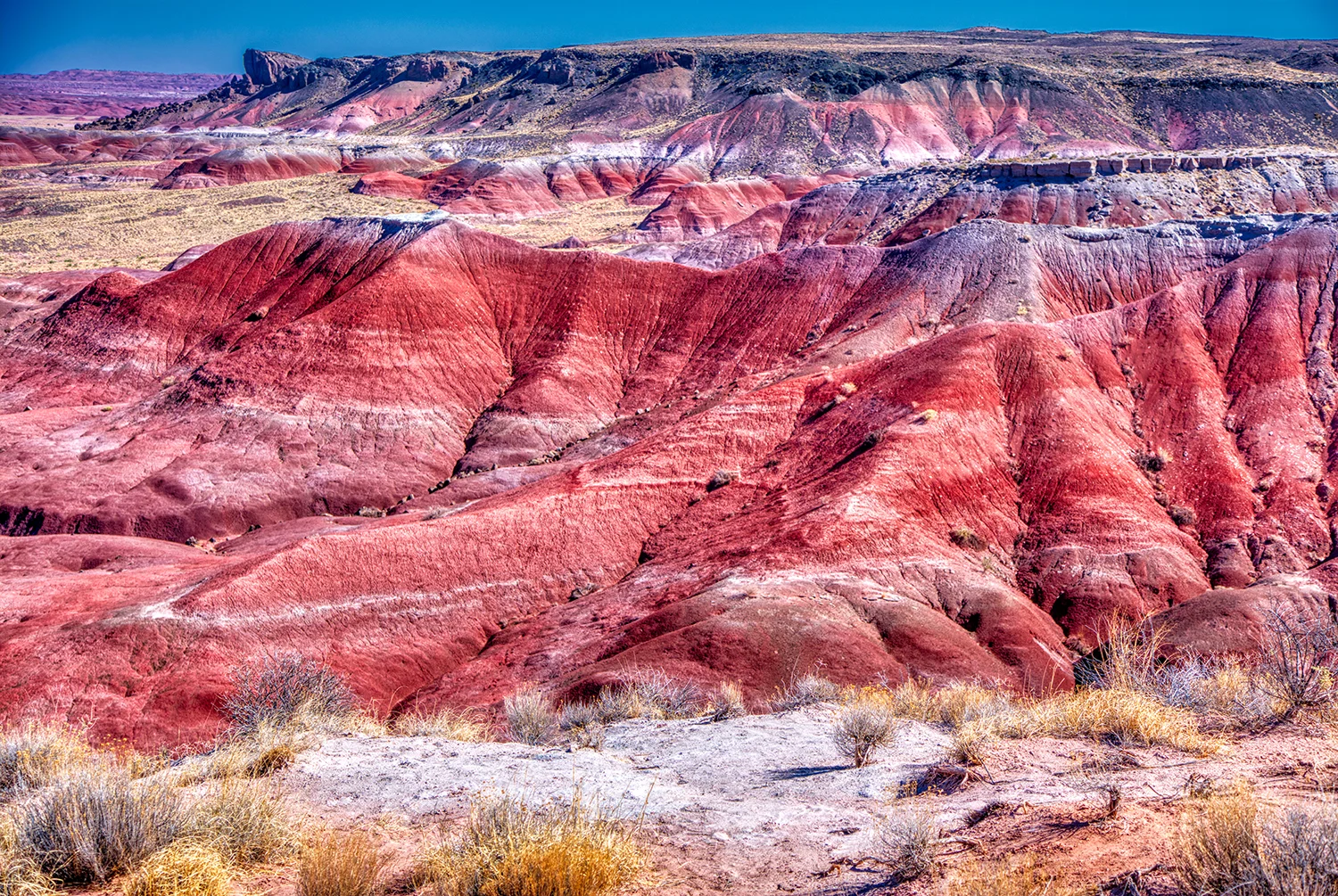 Painted Desert | Arizona
