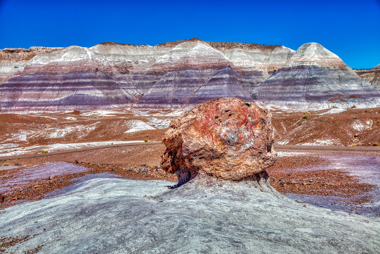 Petrified Forest | Arizona