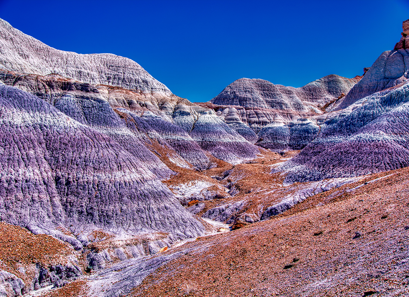 Petrified Forest | Arizona