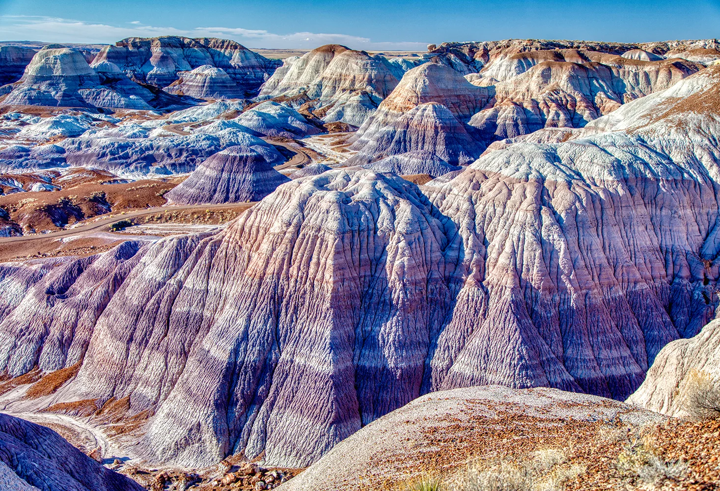 Petrified Forest | Arizona