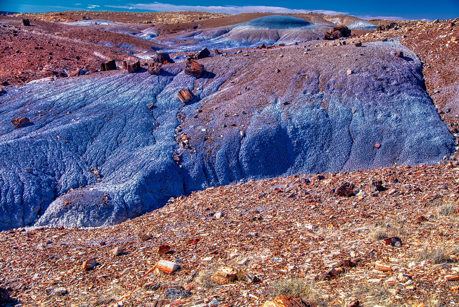 Petrified Forest | Arizona