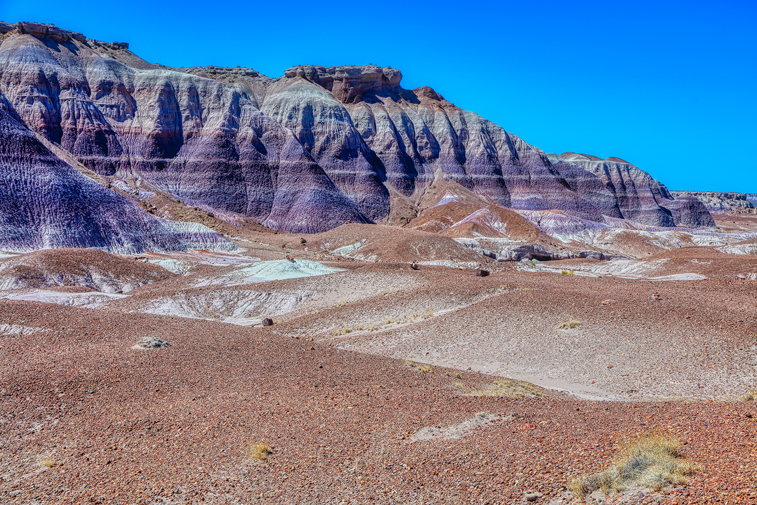Petrified Forest | Arizona