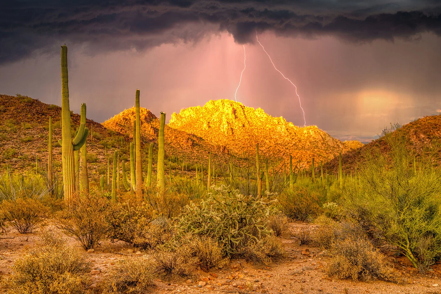 Lightning Strikes in Saguaro National Park 