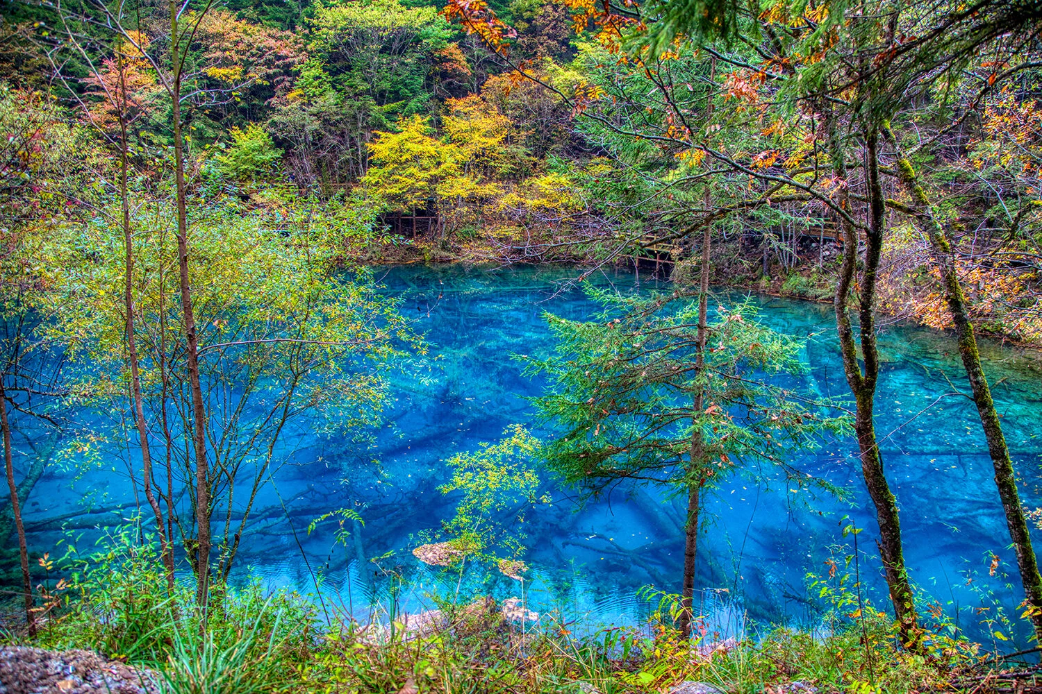 Clear Water and Colored Leaves in Jiuzhaigou National Park | China   