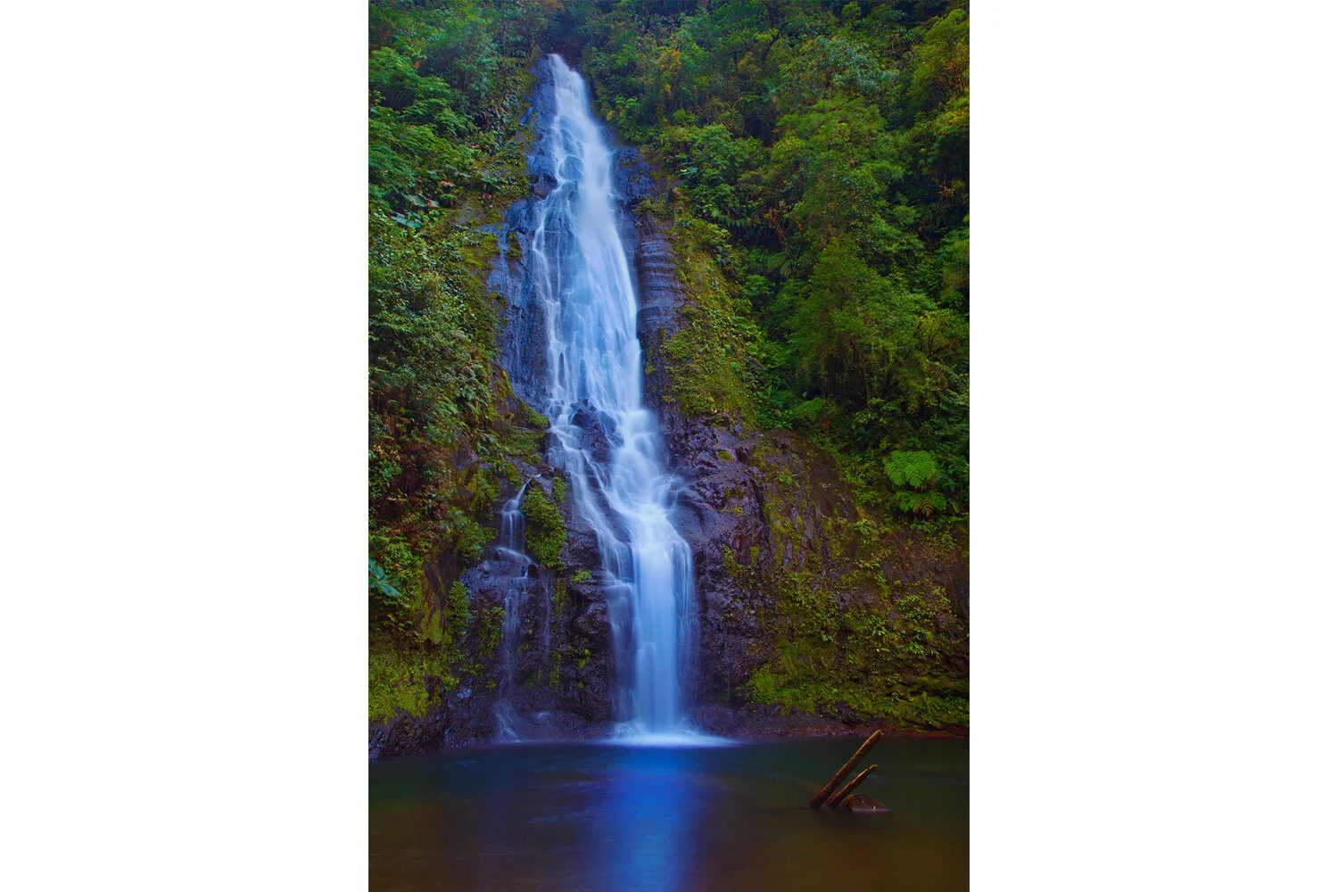 Waterfall | Costa Rica (Vertical) 
