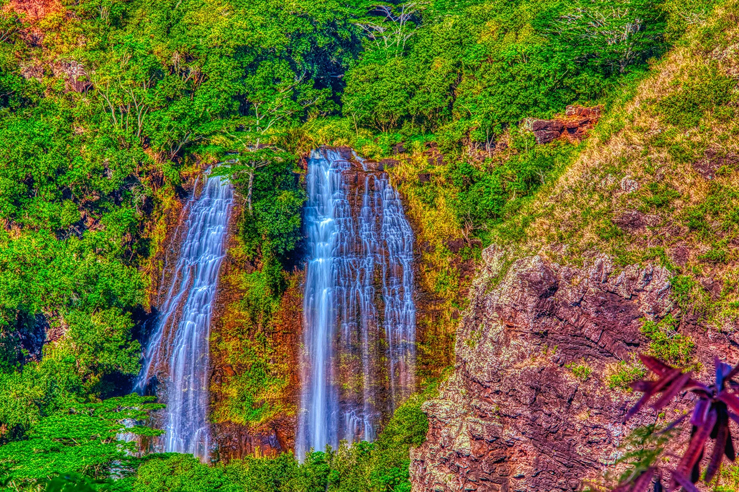 Opaekaa Falls in Kauai | Hawaii  