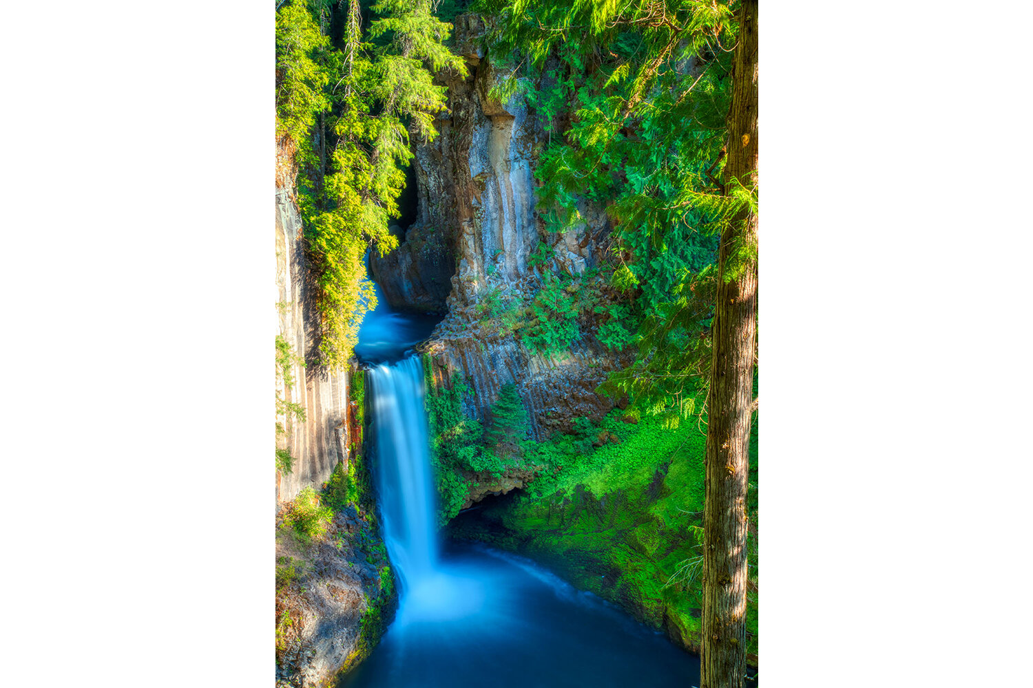 Toketee Falls | Oregon  (Vertical)