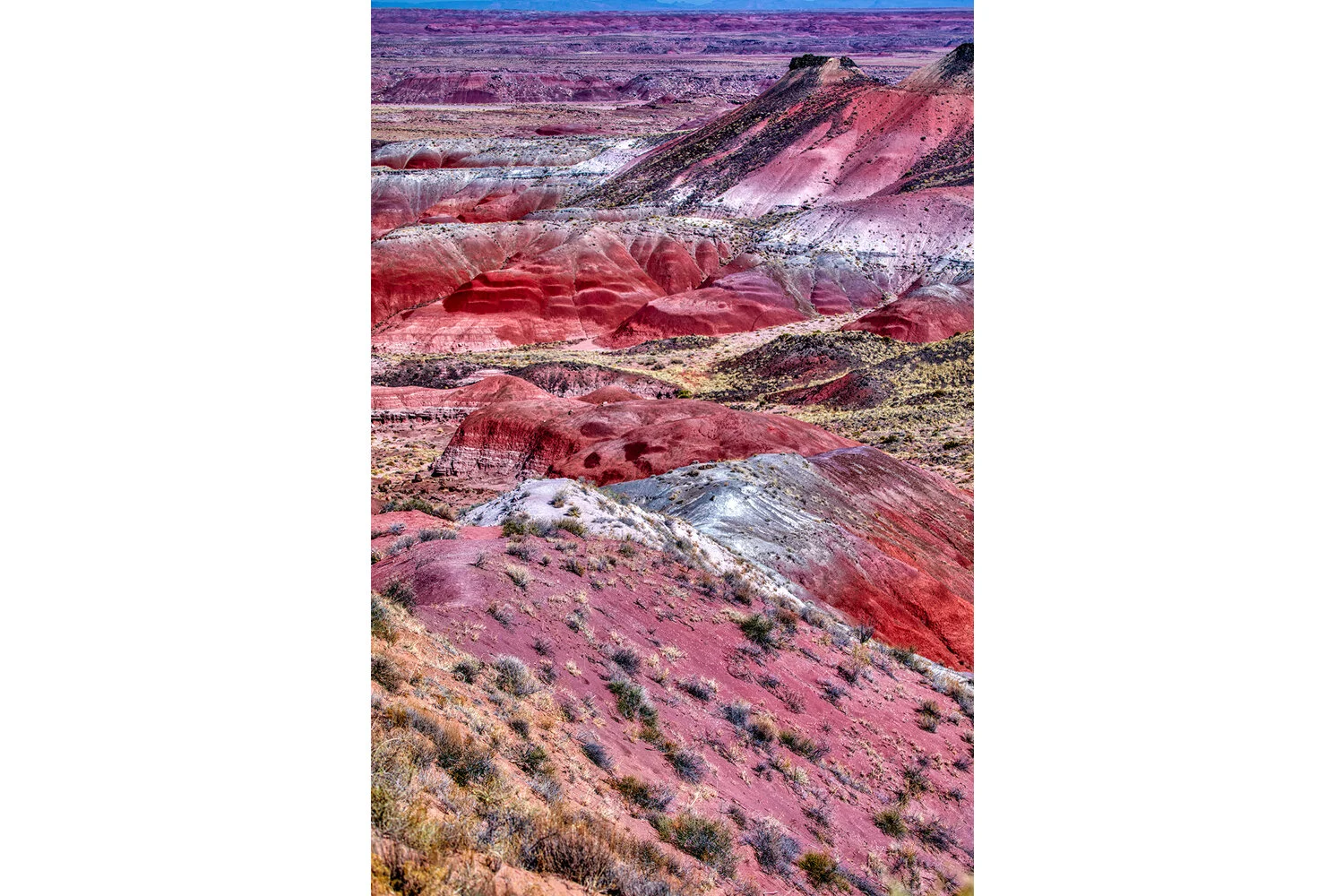 Painted Desert | Arizona (Vertical)