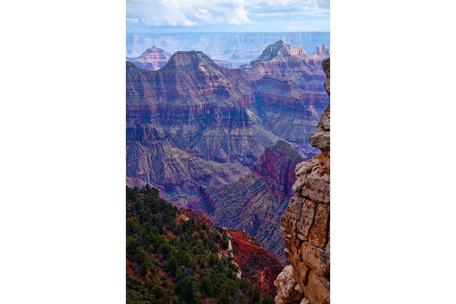 Grand Canyon National Park | Arizona (Vertical)