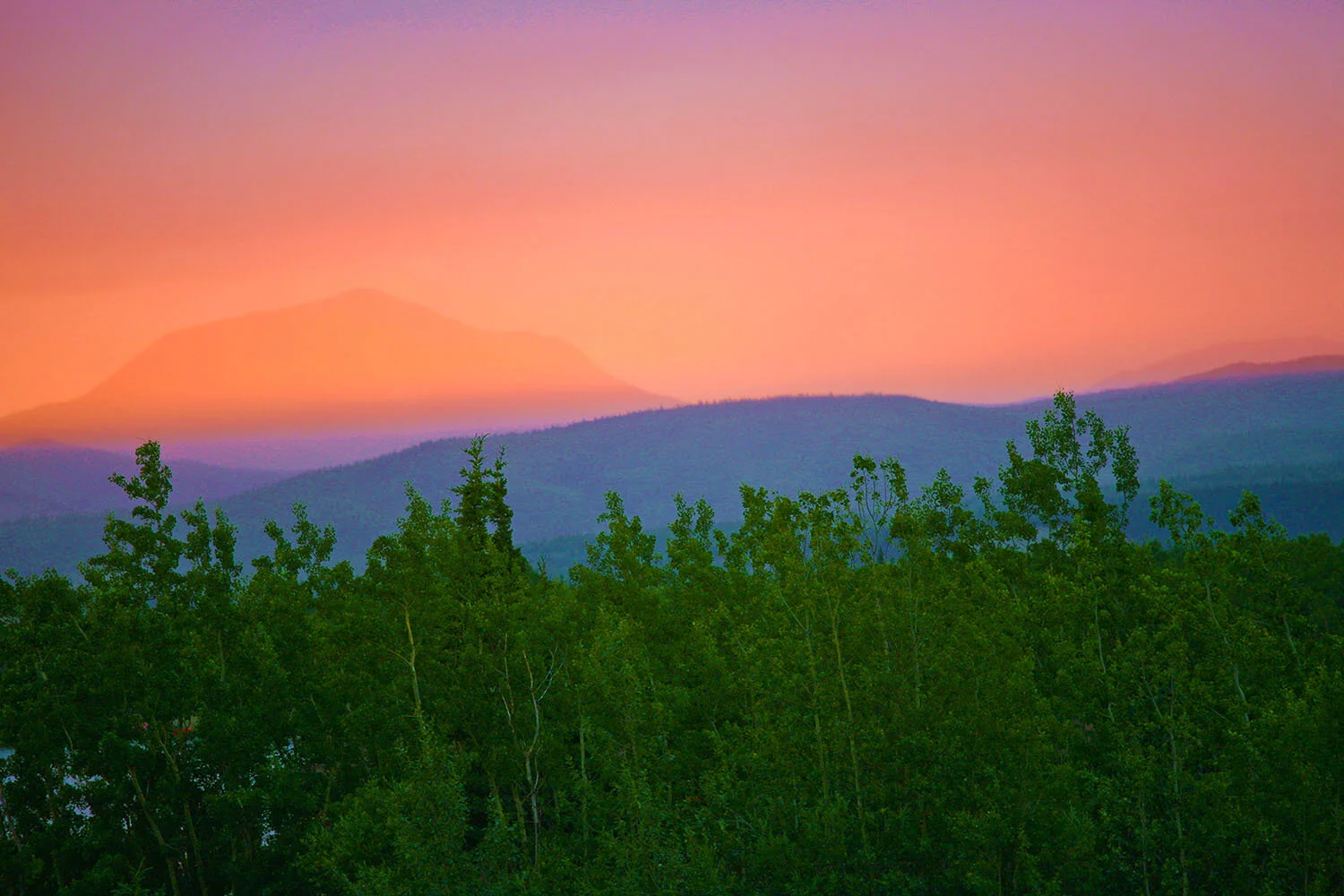 Dawn in Denali National Park | Alaska 