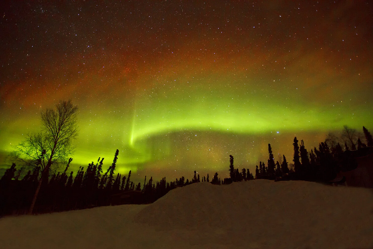 Aurora Borealis | Alaska 