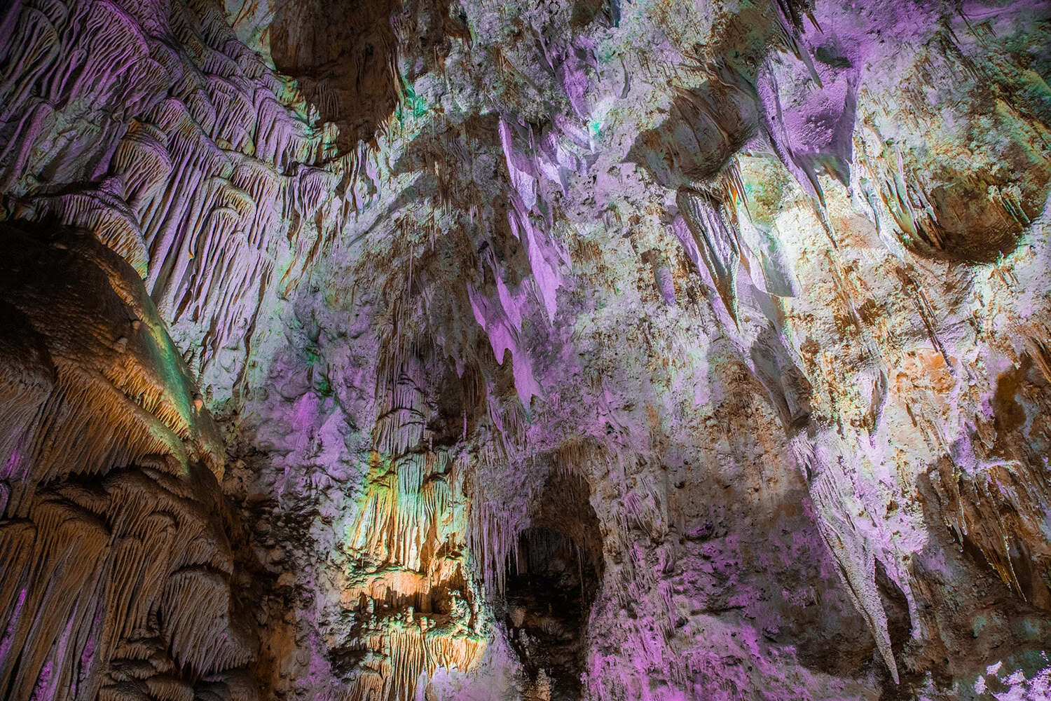 Carlsbad Caverns | New Mexico  