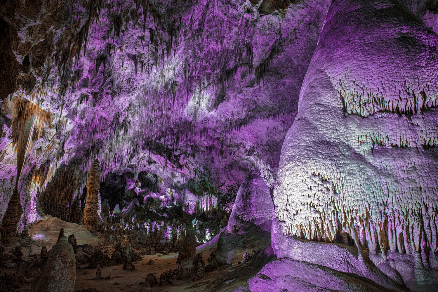 Carlsbad Caverns | New Mexico  