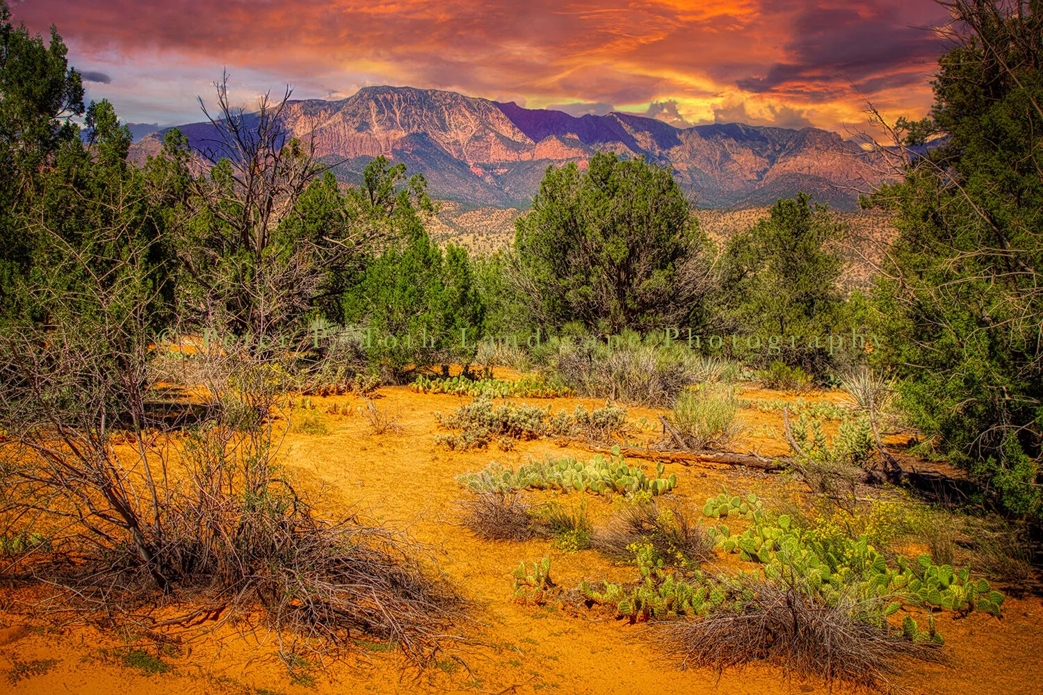 Utah Desert-watermarked.jpg