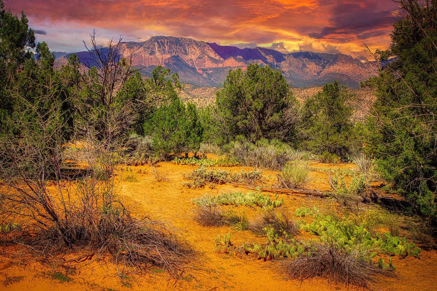 The Utah Desert 