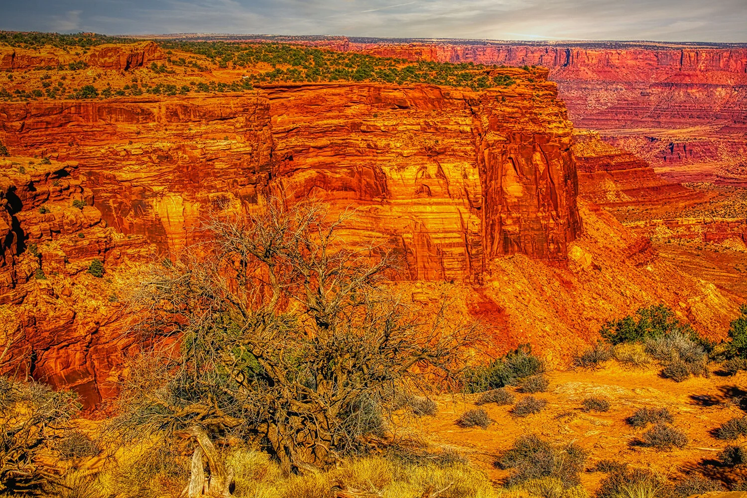 The Canyonlands of Utah