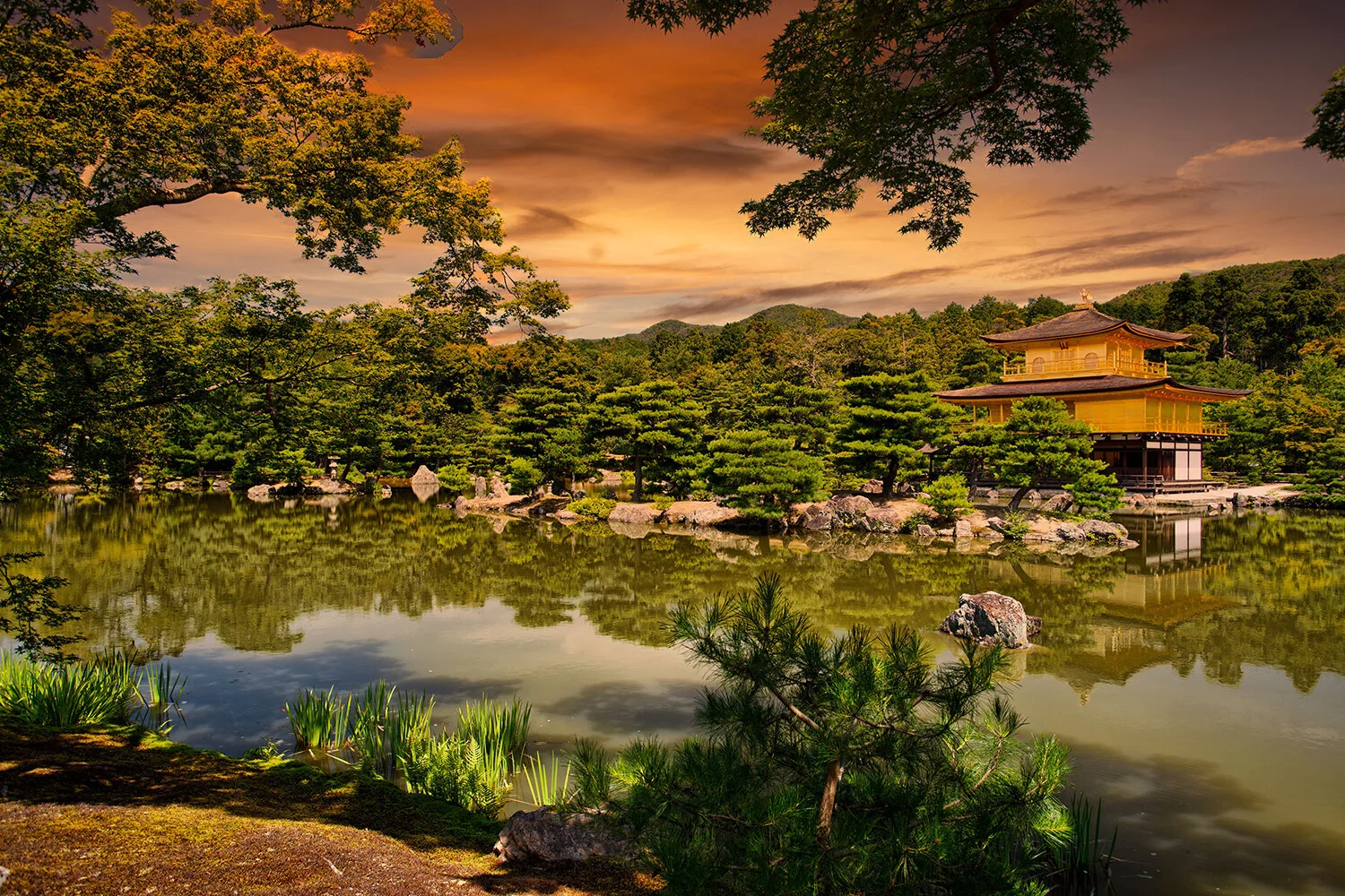 Golden Pagoda | Kyoto, Japan 