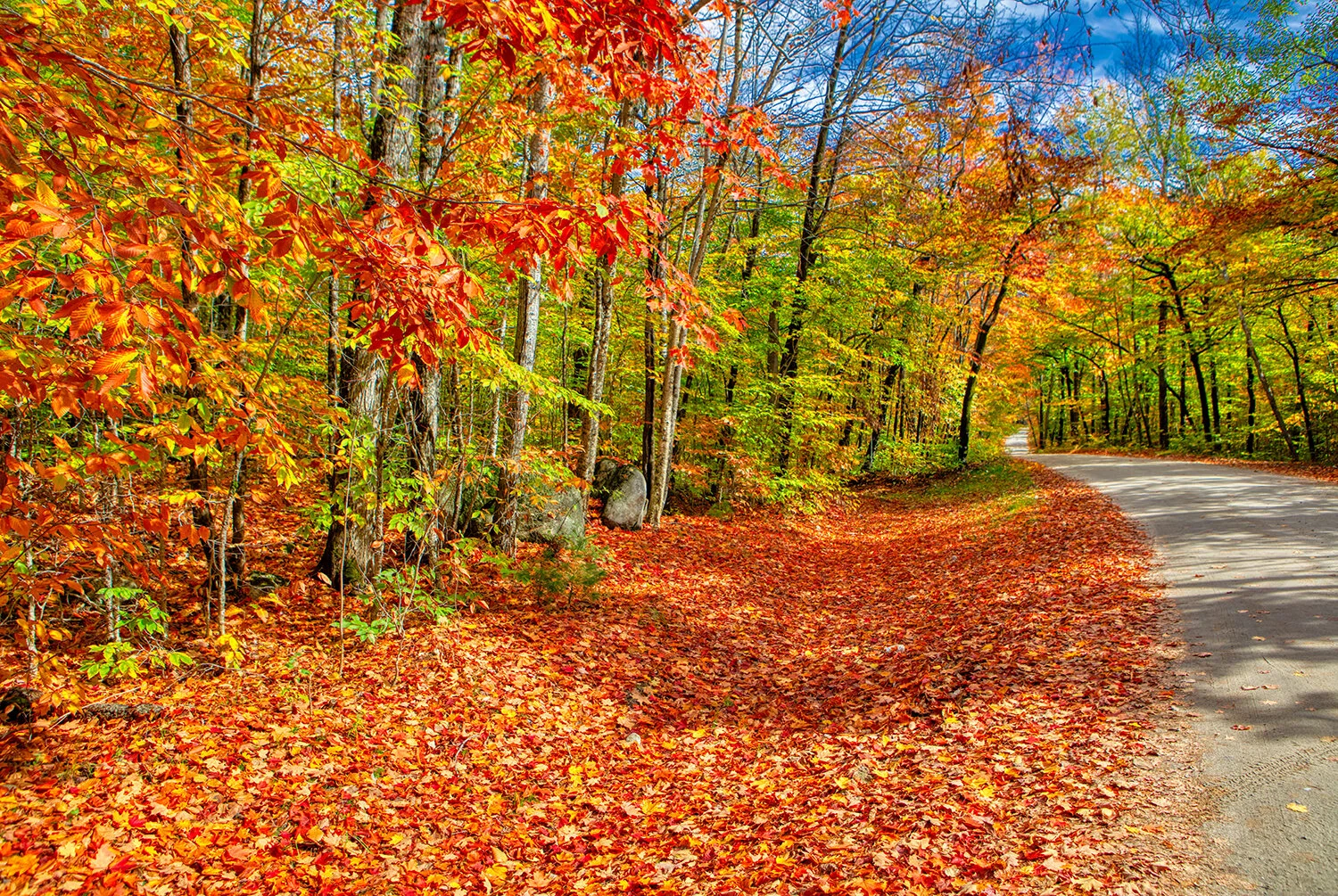 Baxter State Park | Maine 