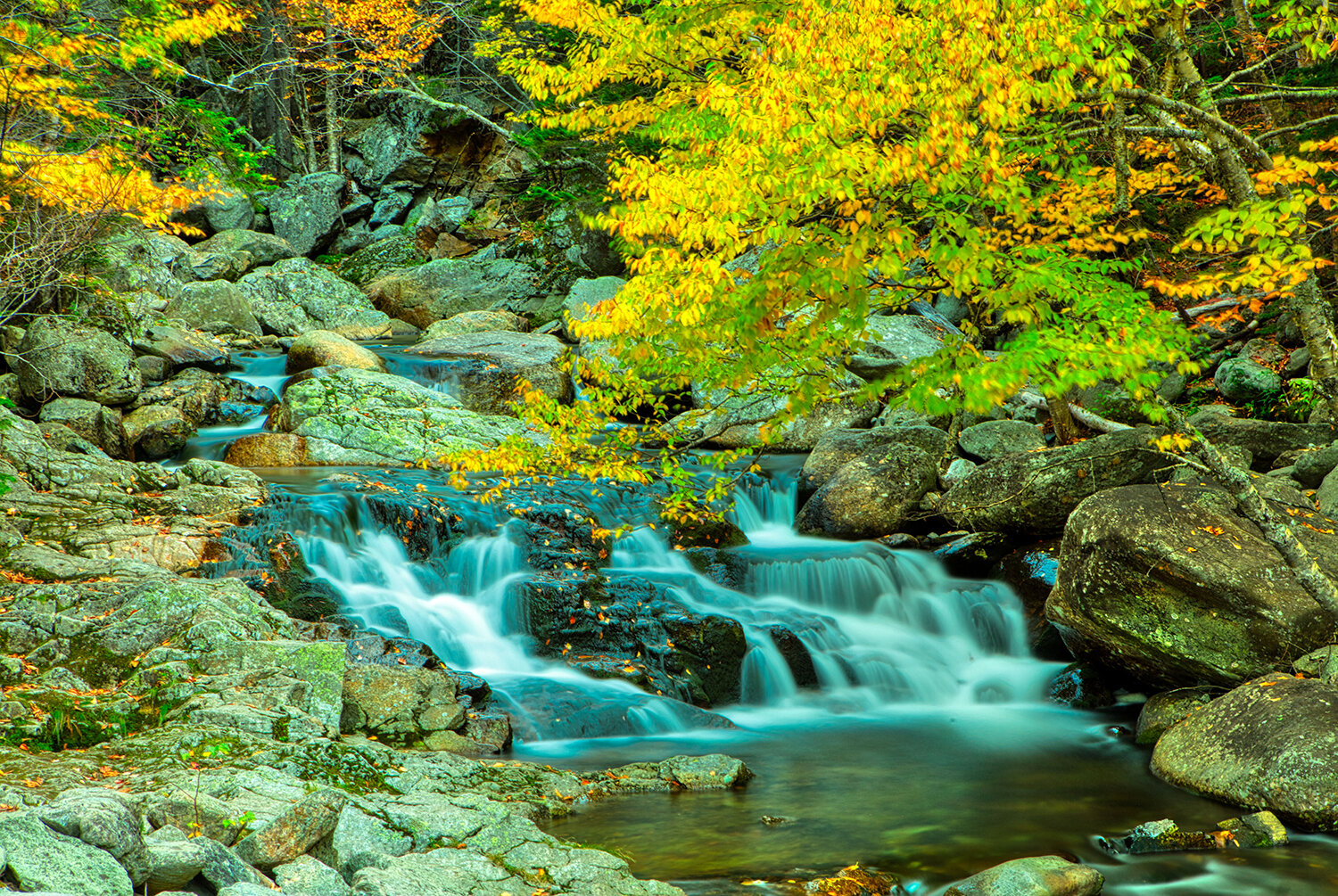 Crystal Cascade | New Hampshire