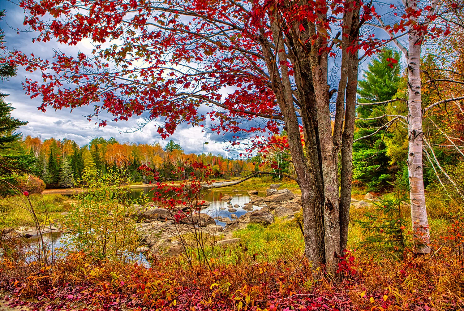 Rangeley Lake | Maine
