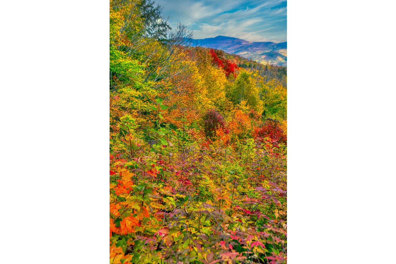 White Mountain National Forest | New Hampshire (Vertical)