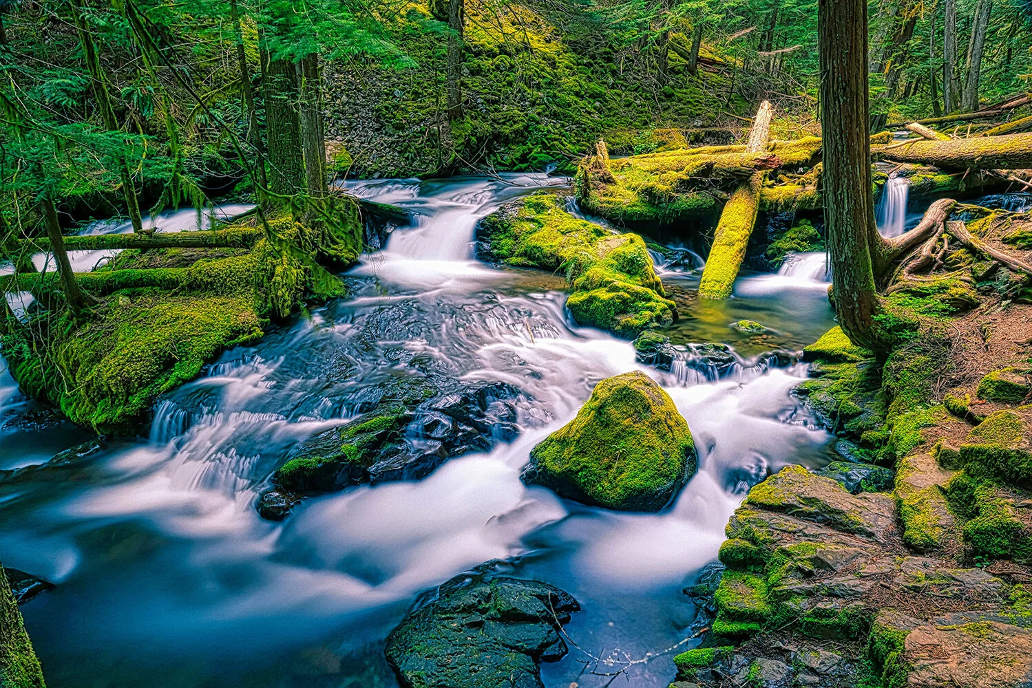 Panther Creek Falls