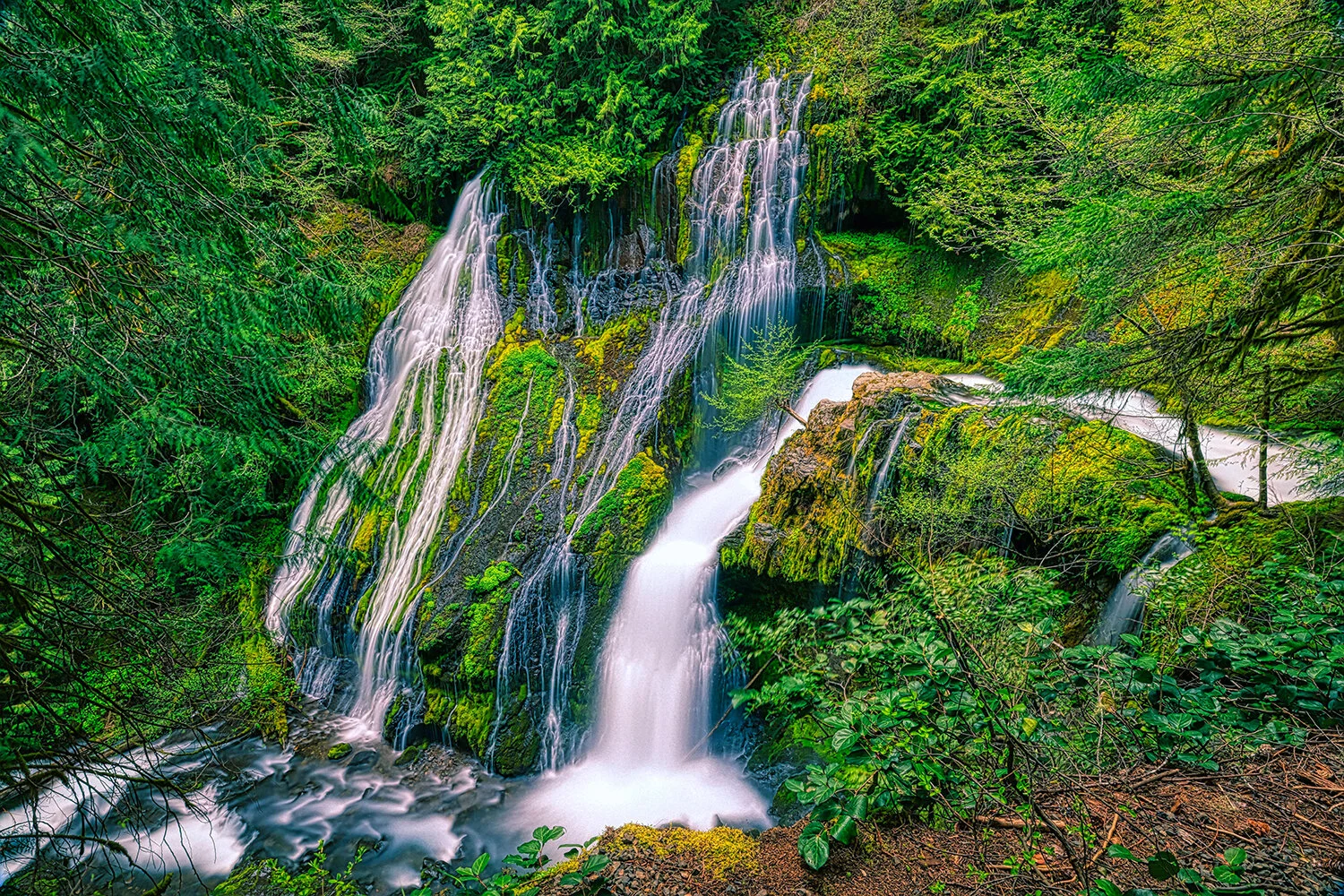 Panther Creek Falls Waterfall