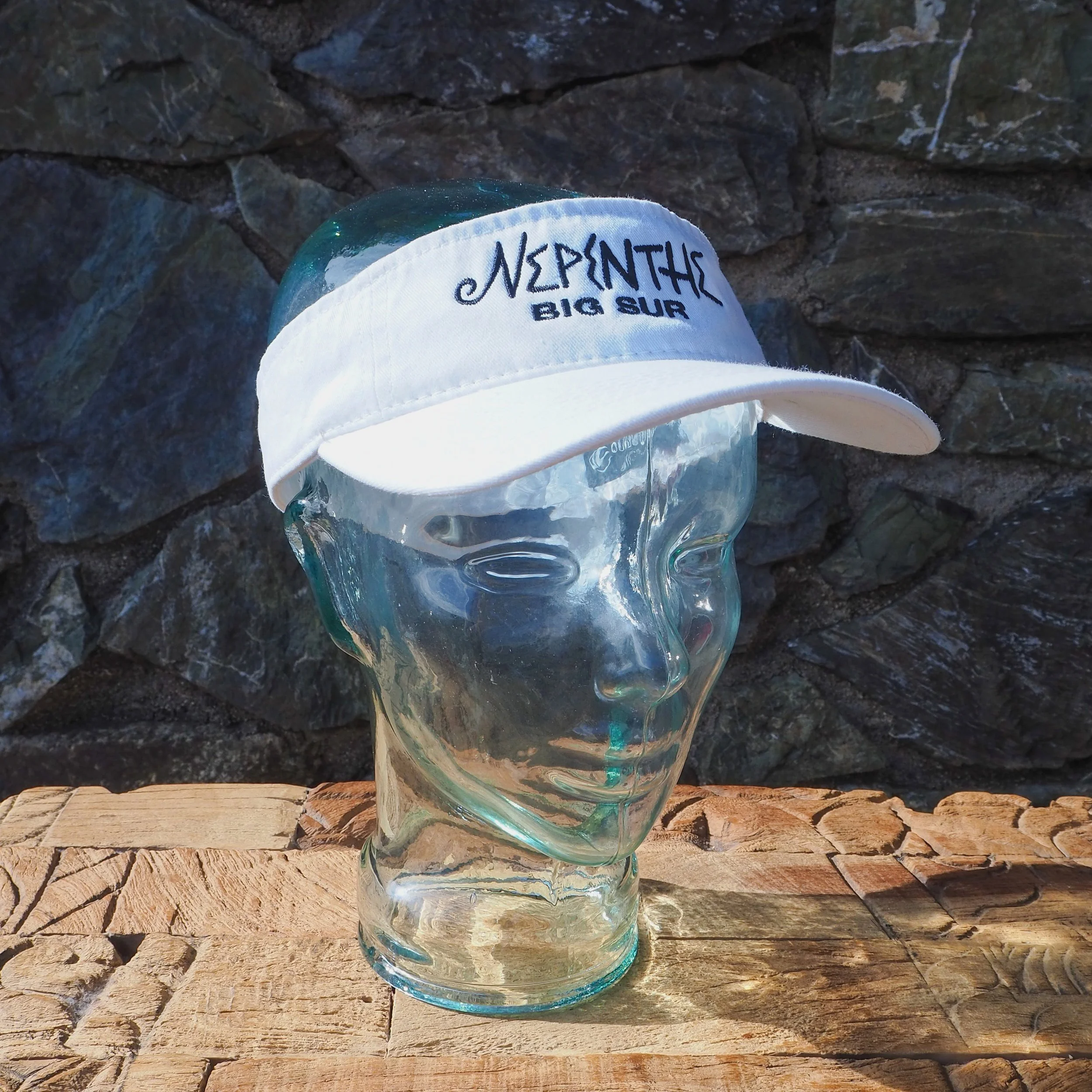 Nepenthe Logo Visor