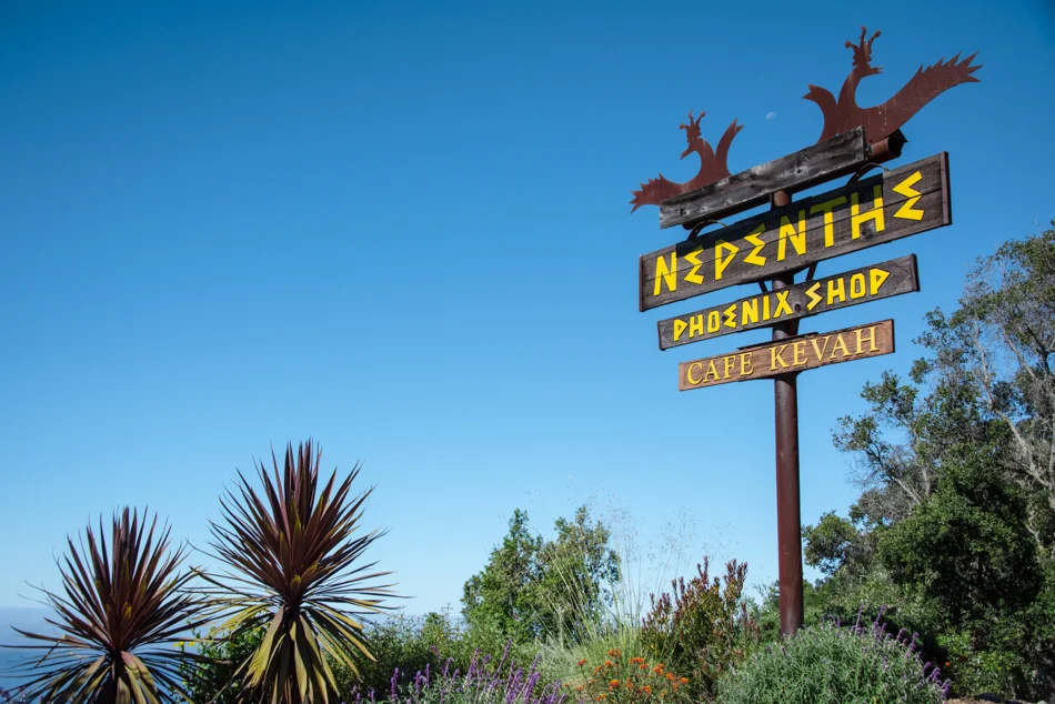 NepenthePhoenix-57.jpg