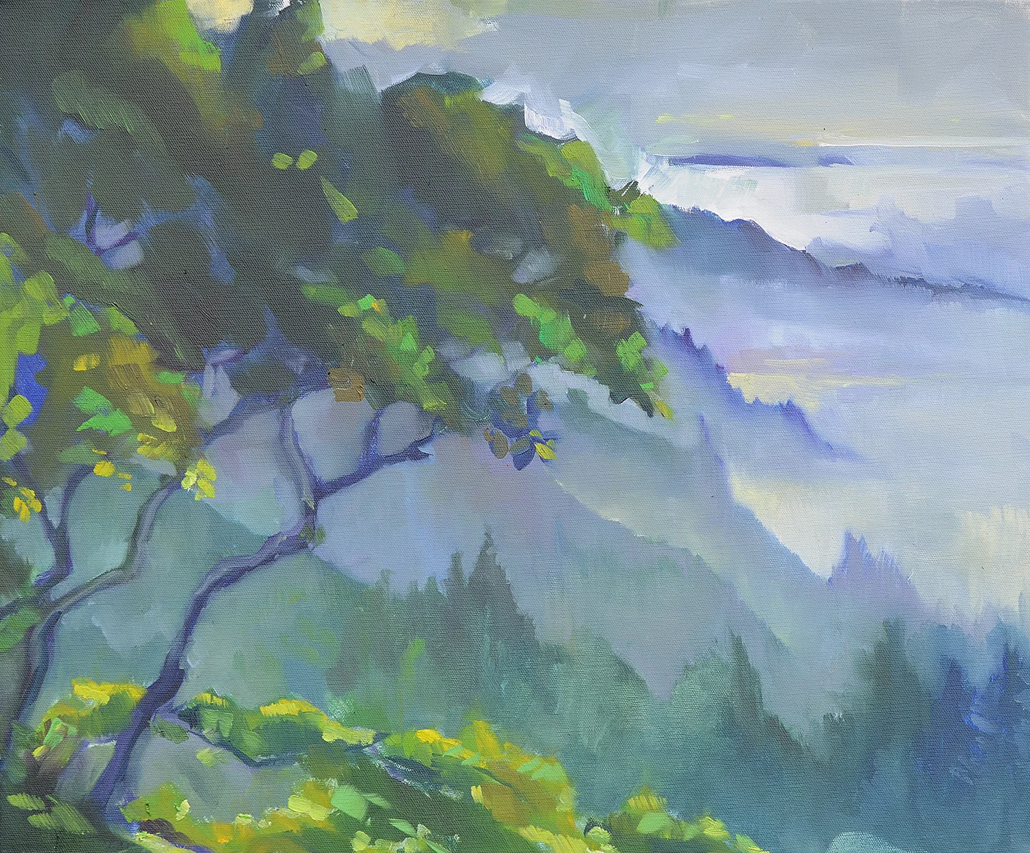 Oak Tree at Nepenthe, Morning