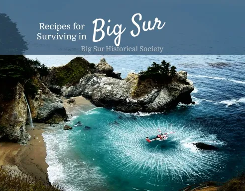 Recipes for Surviving in Big Sur