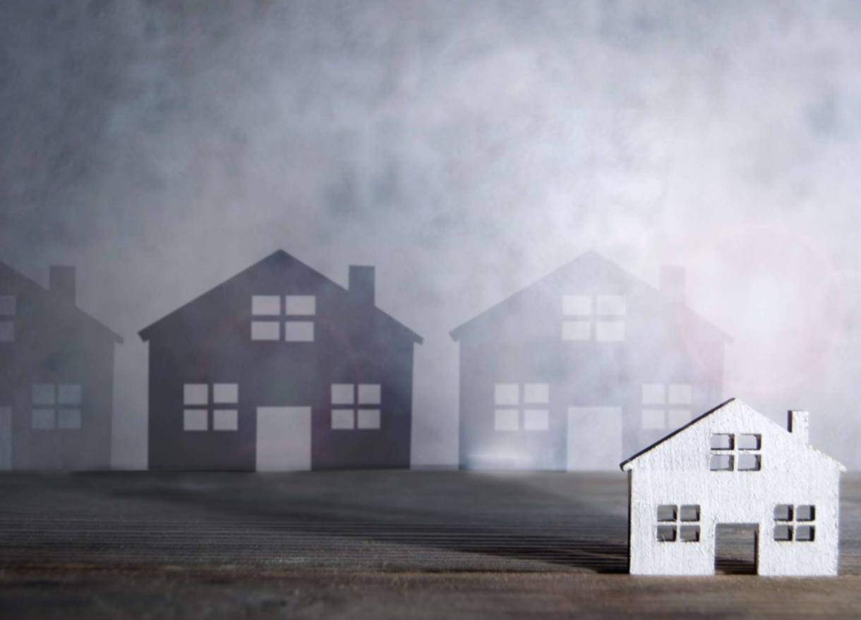Our Invisible Neighbors 2019 Report