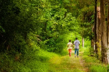 Walking through the woods