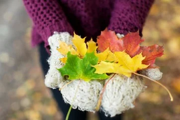 autumn-1.jpg