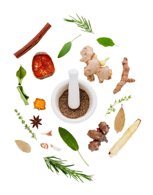 botanicals-naturopathic-specialists.jpg