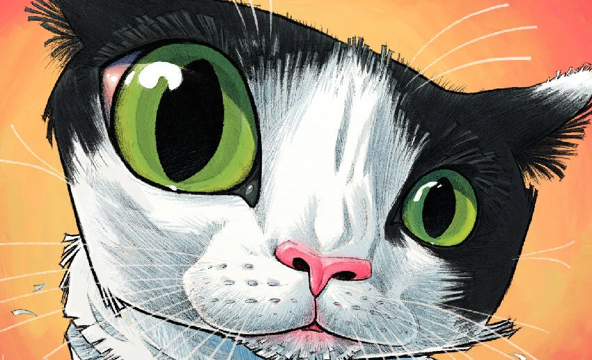 Kitty Caricature | From The Abandoned Projects Drawer