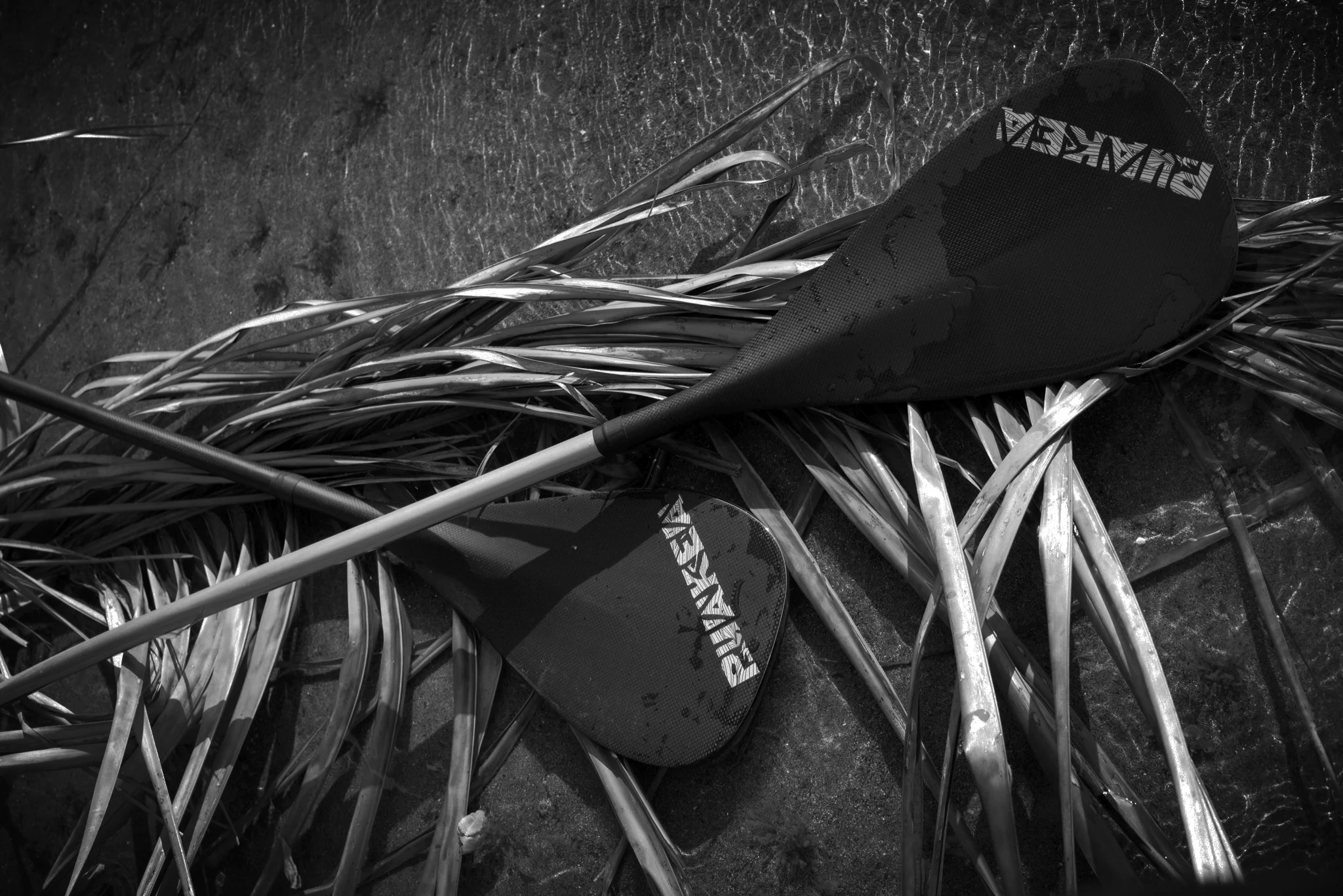 PaddleBGIMG_6993-blkwhtgreen.jpg