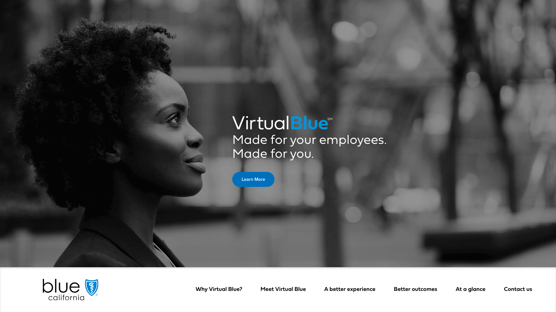 Virtual Blue Digital Brochure