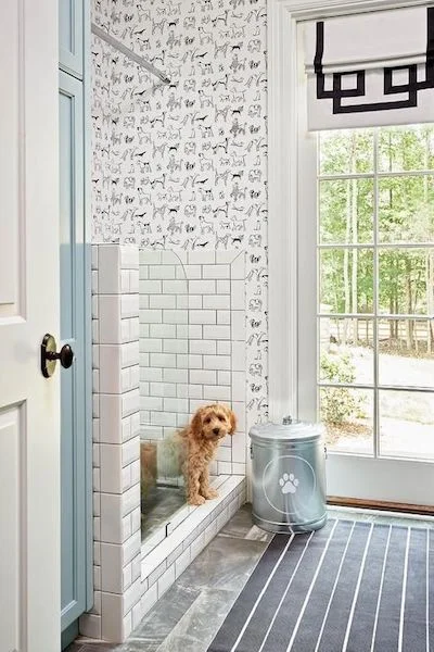 Image courtesy of Pinterest