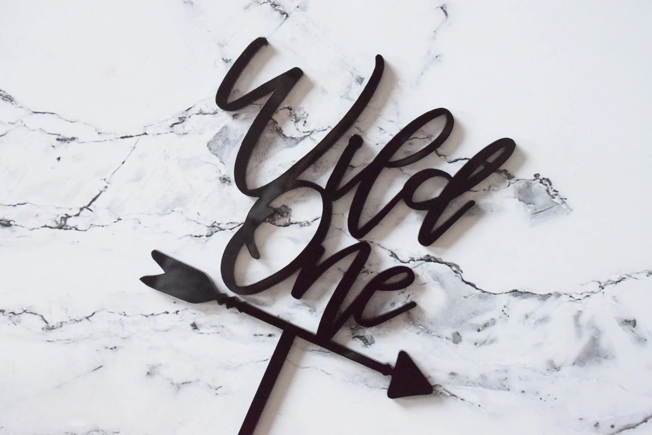 wild one cake topper