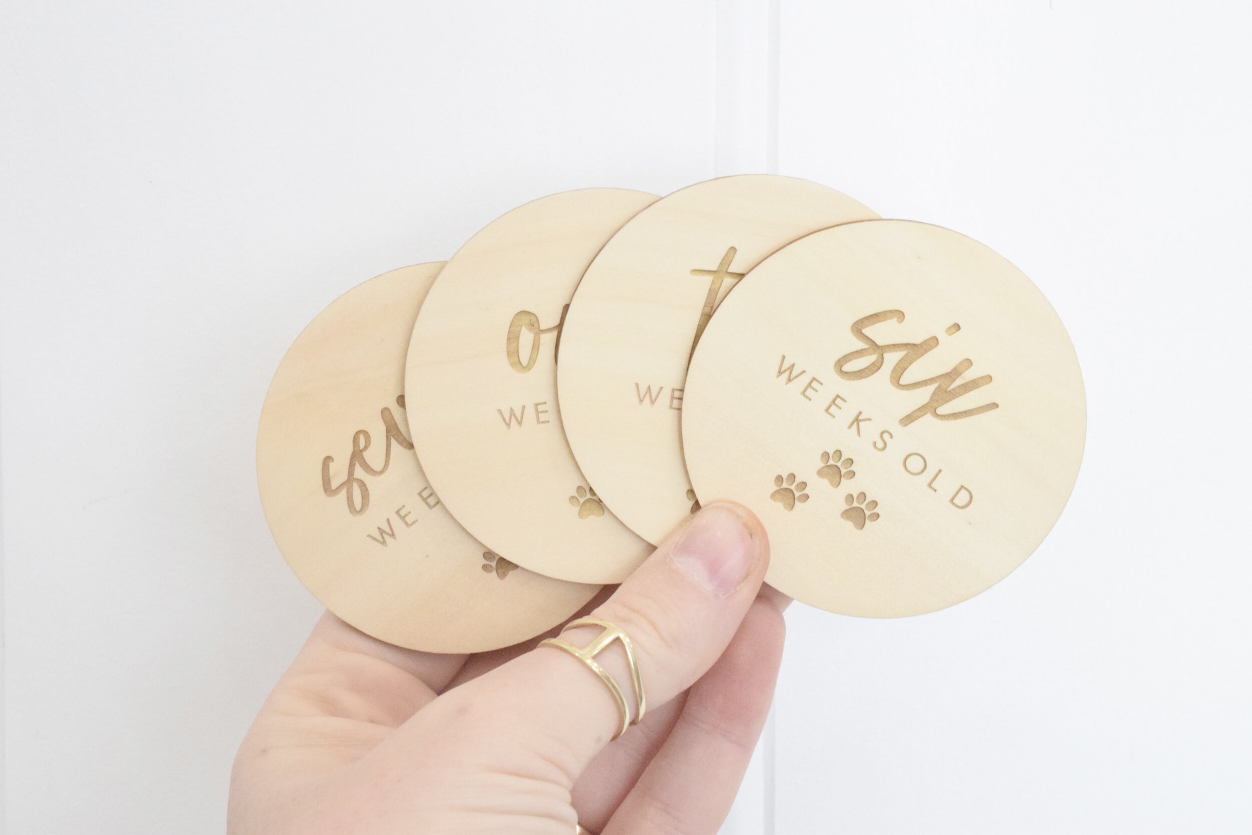 doggy milestone discs